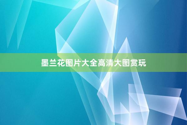 墨兰花图片大全高清大图赏玩