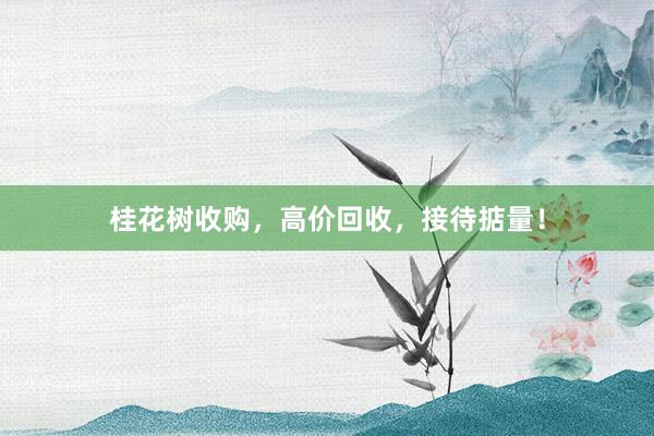 桂花树收购，高价回收，接待掂量！