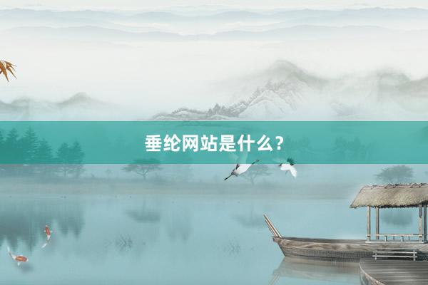 垂纶网站是什么？